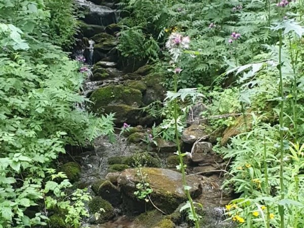 Ripristino dell’originaria sorgente del&nbsp;Bial