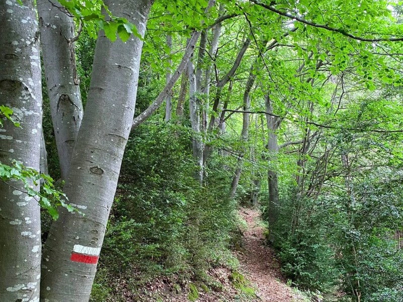 Sopralluogo alle Barme