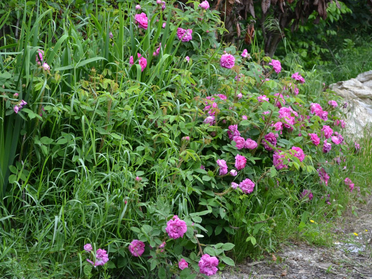 Letture per la&nbsp;Maratona